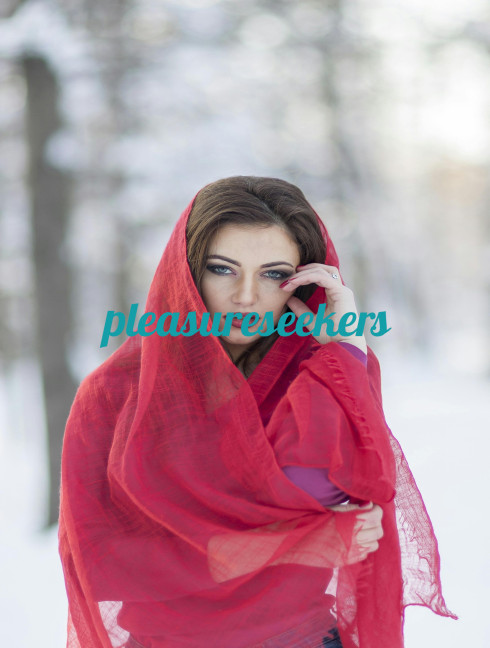 Top-tier  Hyderabad call girl services